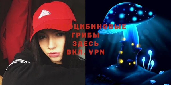 гашик Алзамай