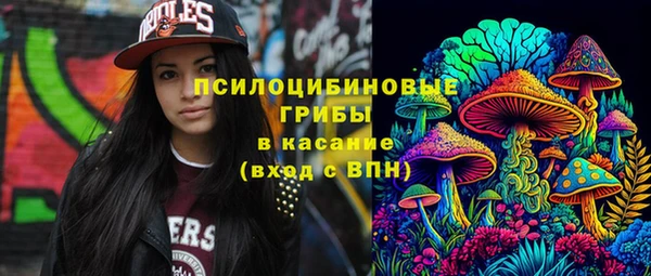 гашик Алзамай