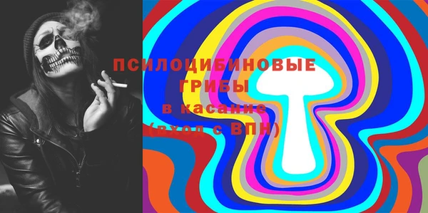 СК Алексин