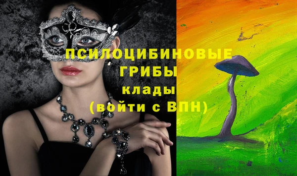 ALPHA-PVP Алексеевка
