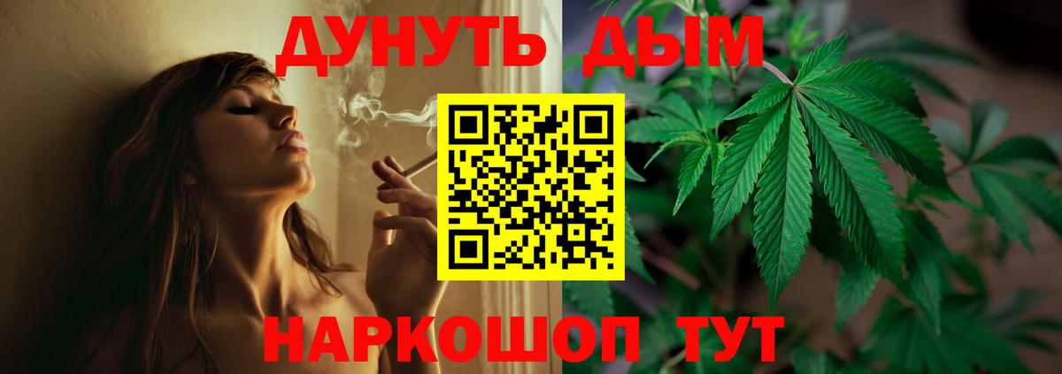 Конопля сатива Михайловск